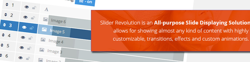 Revolution Slider