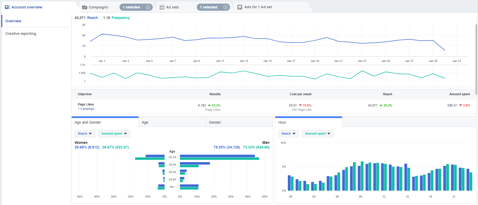 Facebook ads manager performance overview