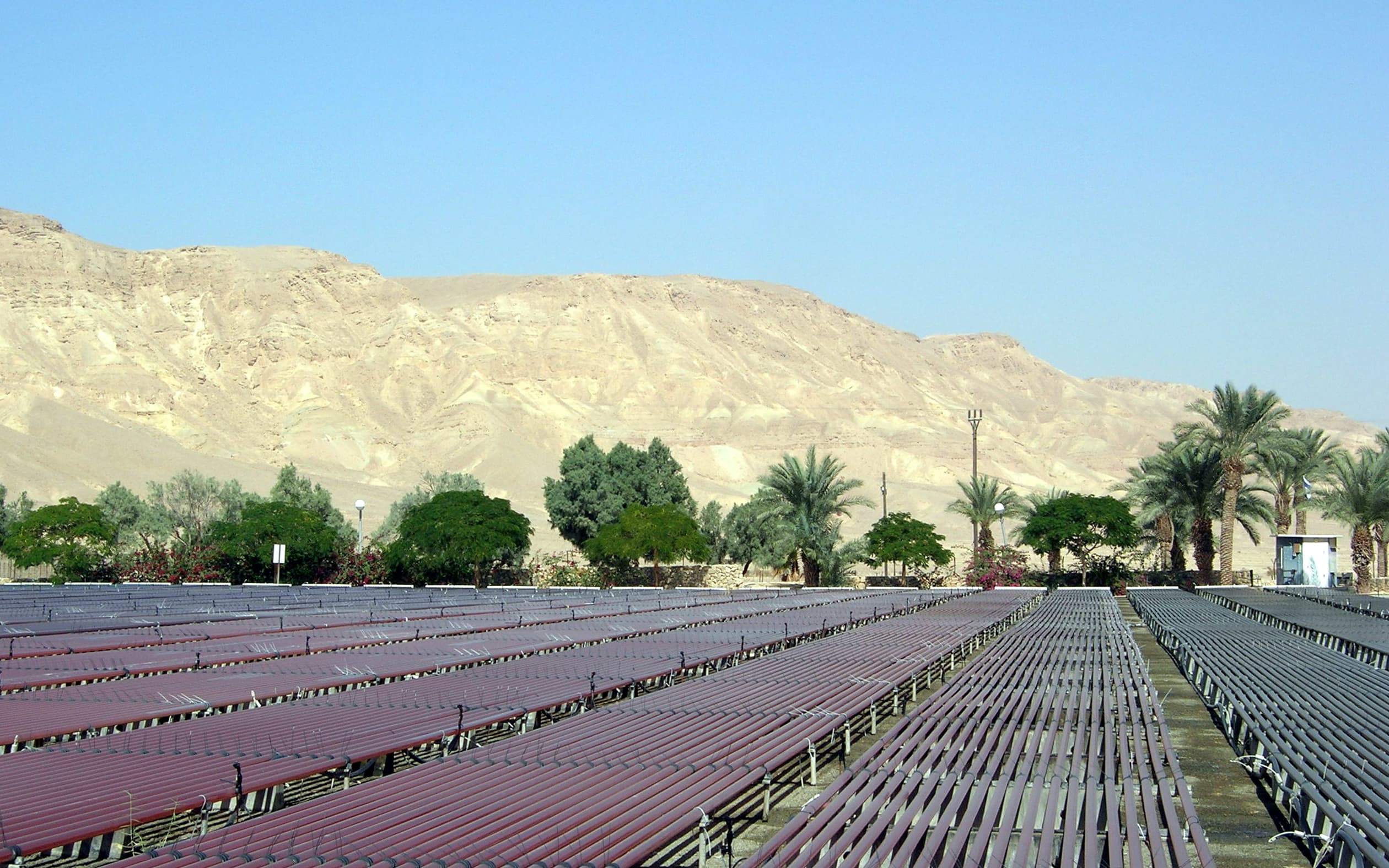 Aquaculture in Kibbutz in the Negev Desert Aquaculture in Kibbutz in the Negev Desert