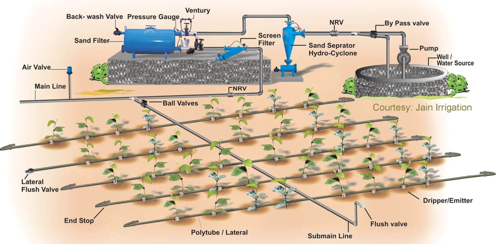 Drip irrigation example Drip irrigation example