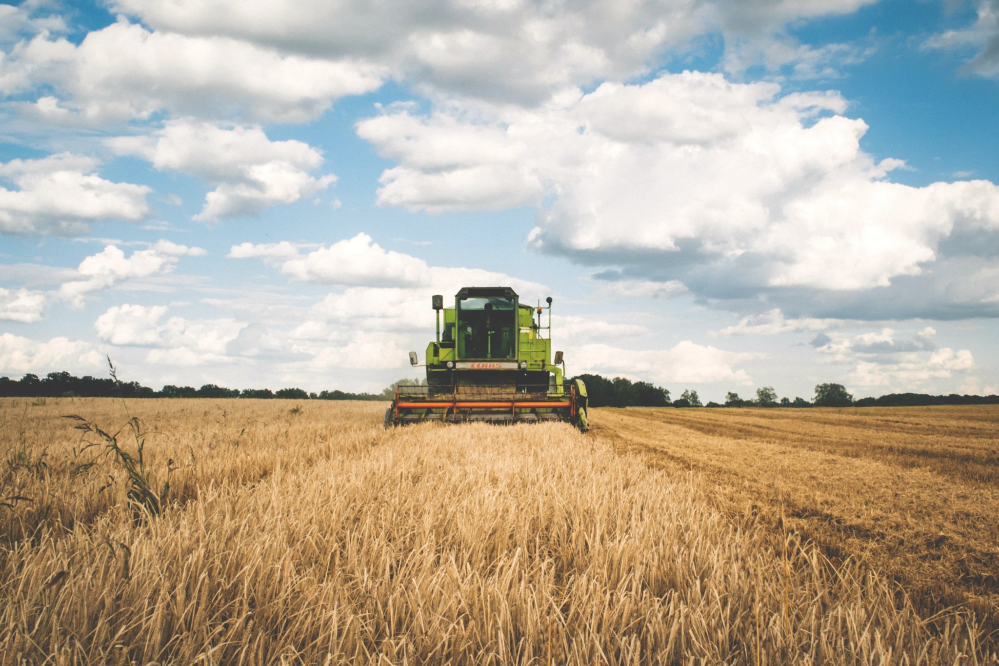 Combine harvester in crop field Combine harvester in crop field