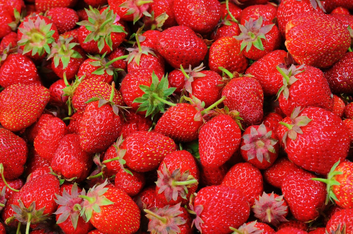 Tasty strawberries!