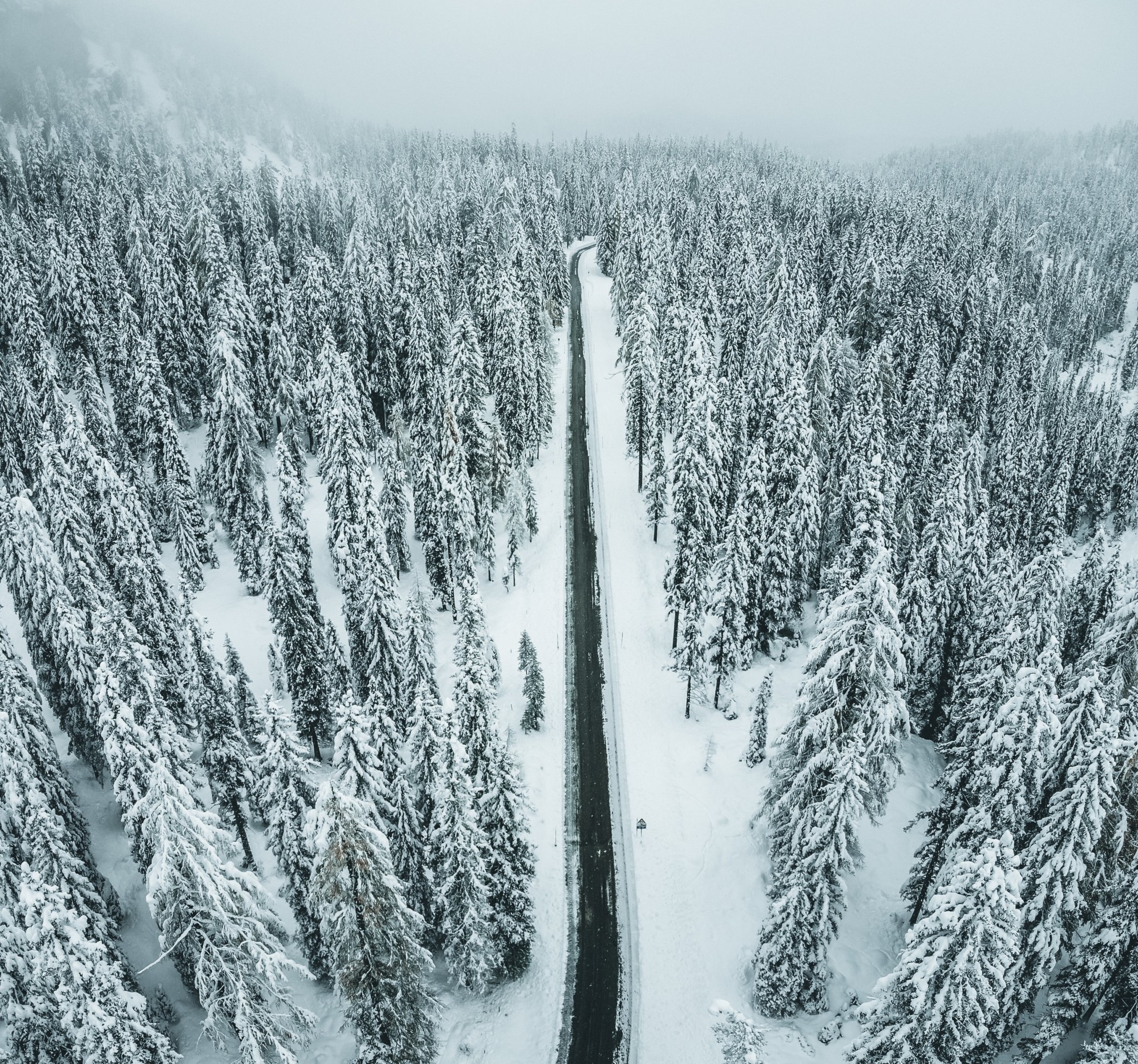 pexels photo showing a road in a snowy forest