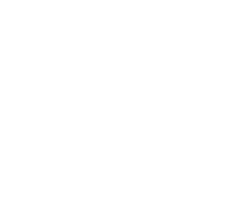 The Outstanding Branding – Digital Marketing Case Study logo.