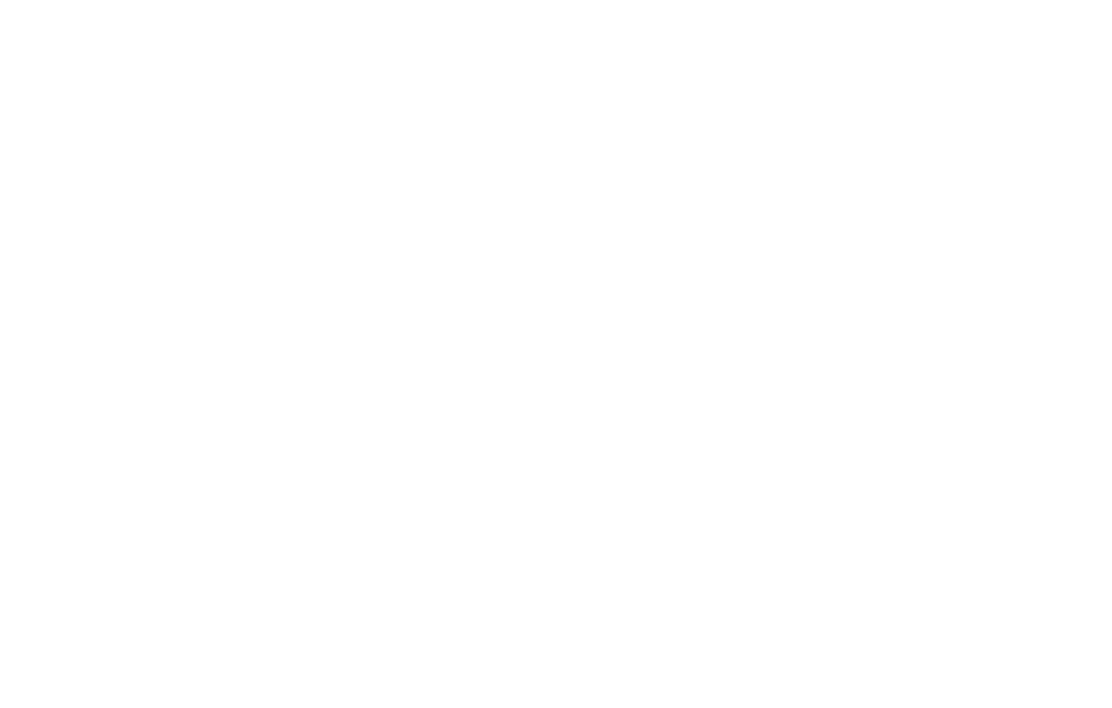 The Incom CNS Group logo.