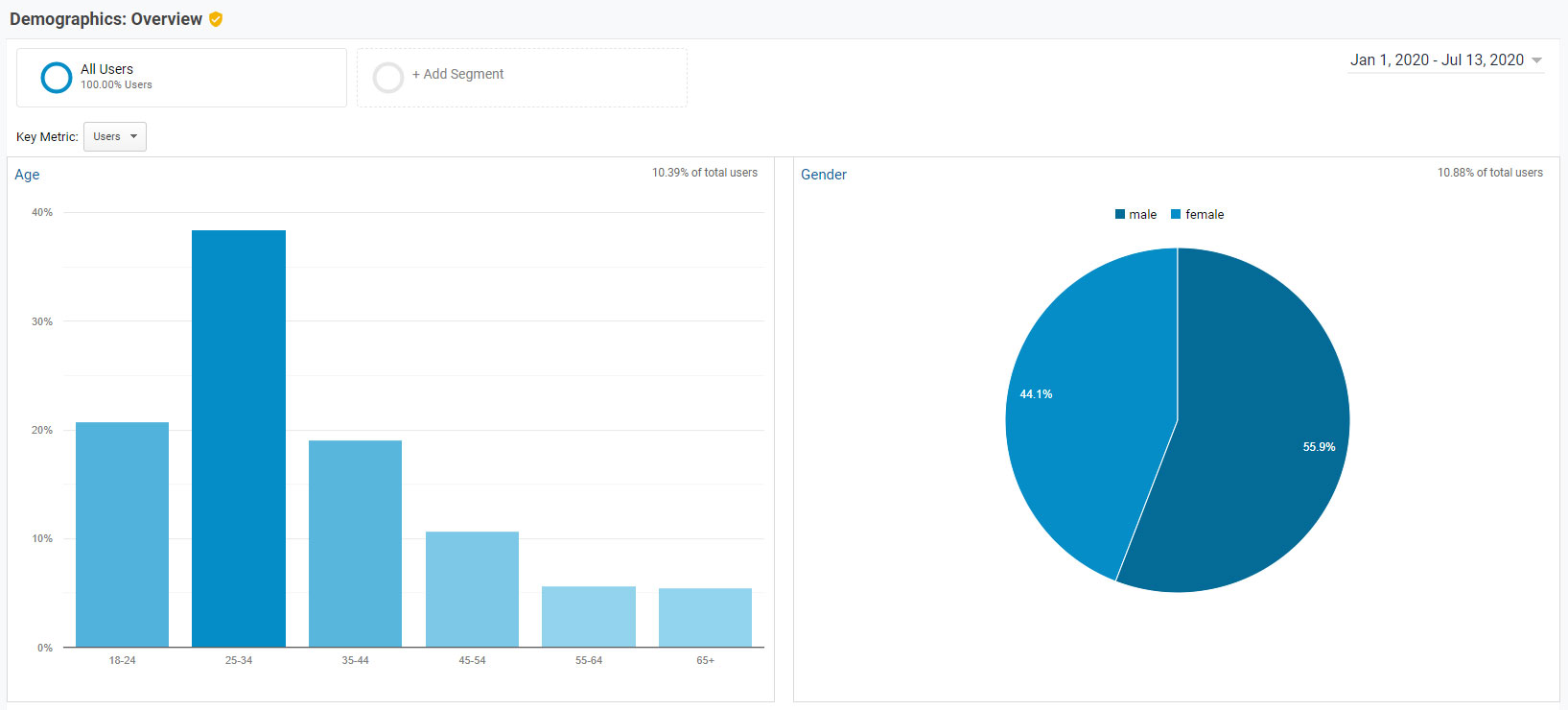 Google Analytics Demographics overview