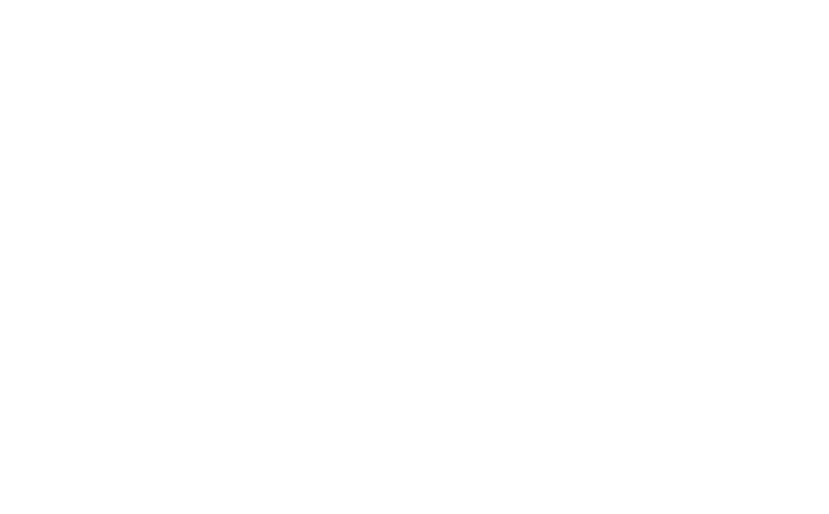 The CRP – SEO Case Study logo.