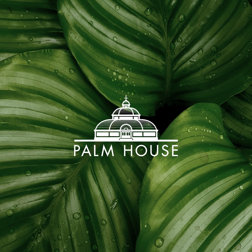 Sefton Park Palm House: Website Design & Development Liverpool
