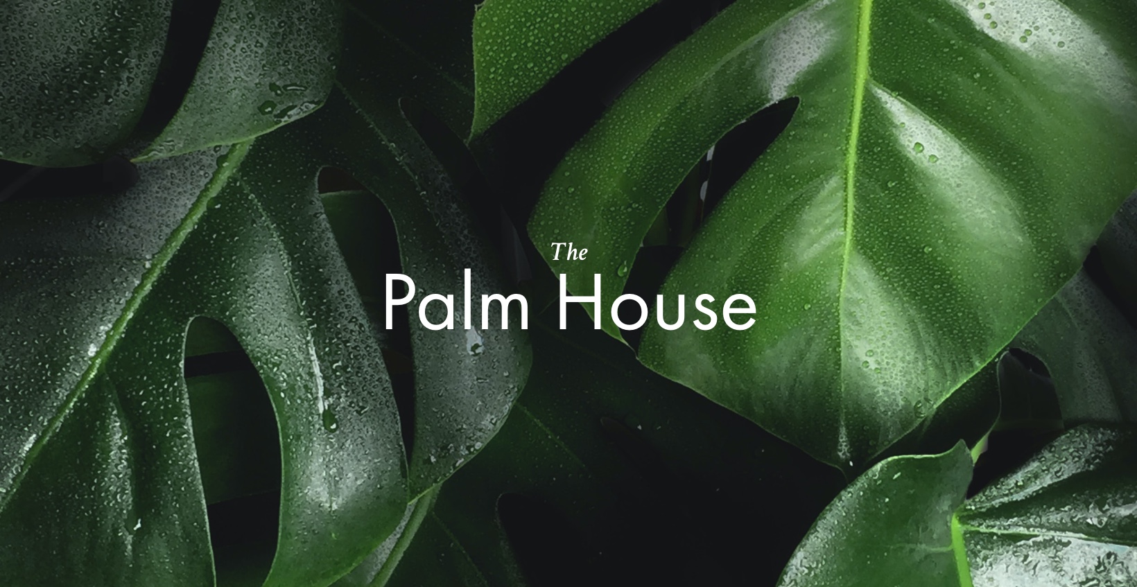 Sefton Park Palm House: Website Design & Development