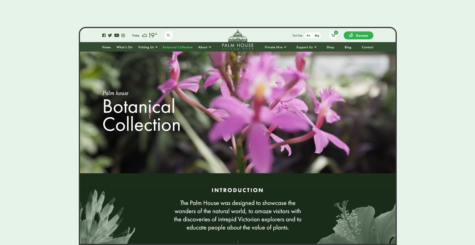 Sefton Park Palm House: Website Design - Desktop
