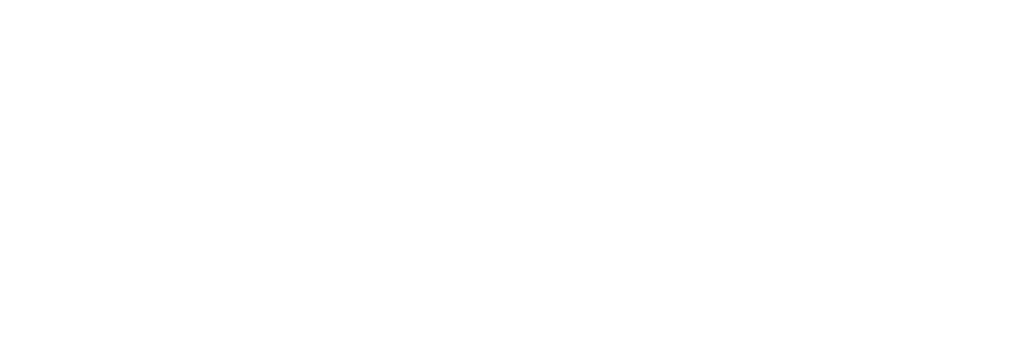 The Sterosport logo.