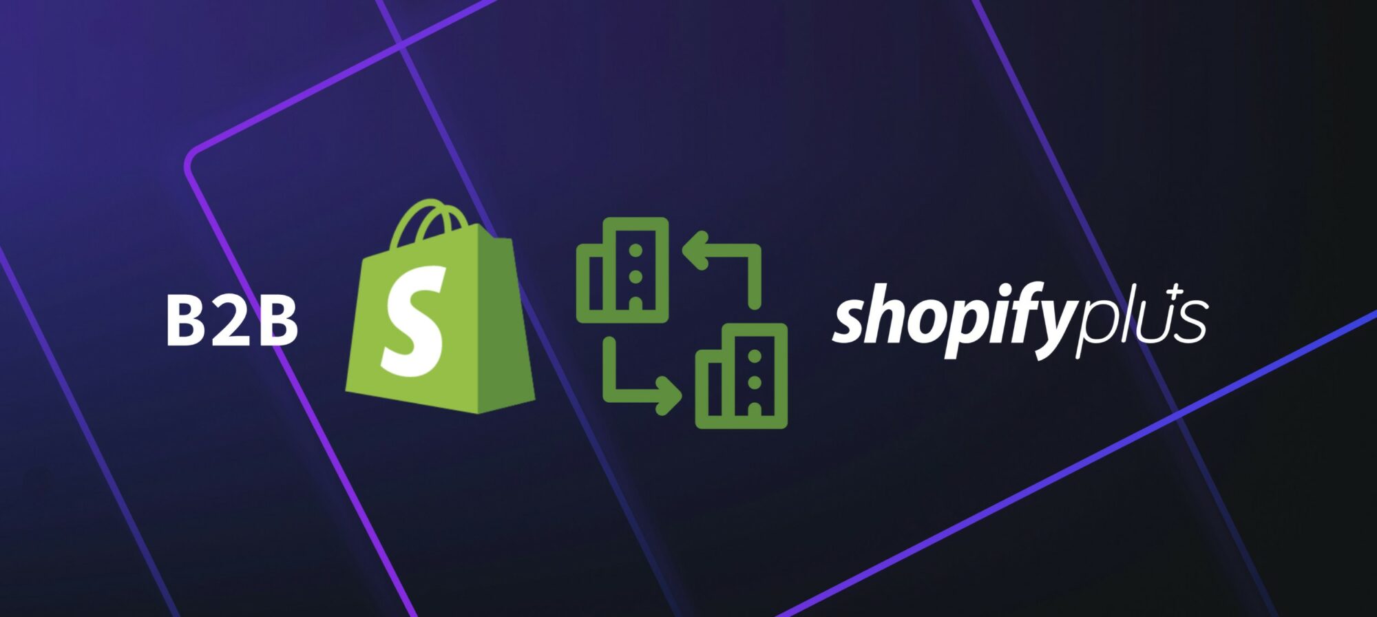 Why Shopify is good for B2B